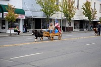DSC_3381.jpg