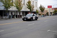DSC_3392.jpg
