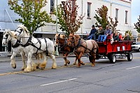 DSC_8829.jpg