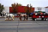 DSC_8836.jpg