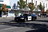 DSC_6053.jpg