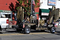 DSC_6141.jpg
