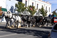 DSC_6415.jpg