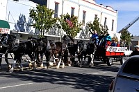 DSC_6419.jpg
