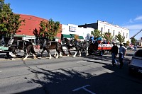 DSC_6422.jpg