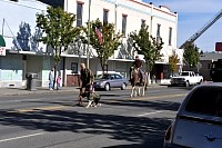 DSC_6436.jpg
