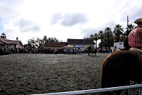 DSC_9191.jpg