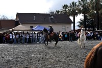 DSC_9199.jpg