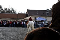 DSC_9218.jpg