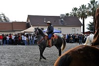 DSC_9222.jpg