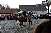 DSC_9225.jpg