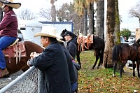 DSC_9227.jpg