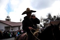DSC_9237.jpg