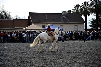 DSC_9240.jpg