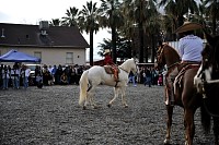 DSC_9242.jpg