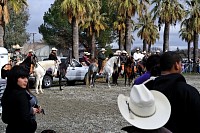 DSC_9287.jpg