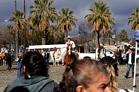 DSC_9304.jpg