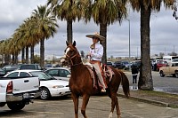 DSC_9330.jpg