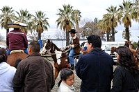 DSC_9352.jpg