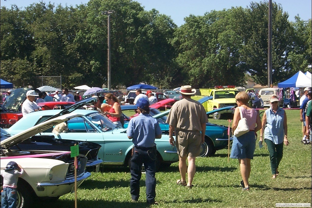 WillowsCarShow199818