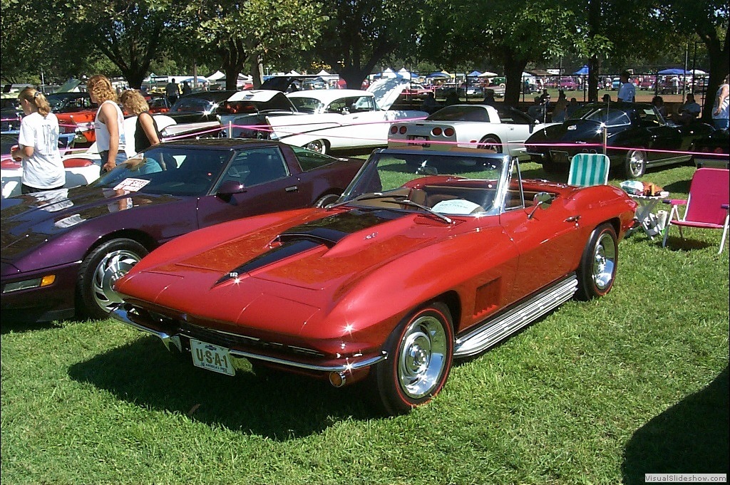 WillowsCarShow199836