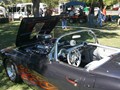 WillowsCarShow199813