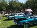 WillowsCarShow199821