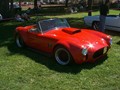 WillowsCarShow199829