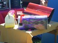 WillowsCarShow199831