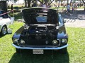 WillowsCarShow199834