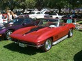 WillowsCarShow199836