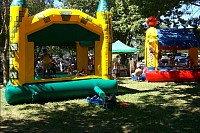 WillowsCarShow199826.jpg