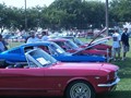 P0004818