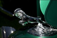 DSC_4707.jpg