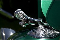 DSC_4709.jpg