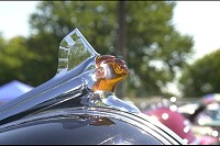 DSC_4713.jpg