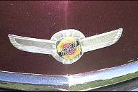 DSC_4719.jpg