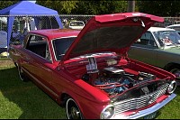 DSC_4726.jpg