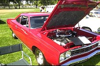 DSC_4744.jpg