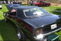 DSC_4746.jpg