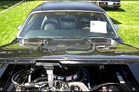 DSC_4748.jpg