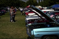 DSC_4766.jpg