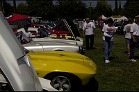 DSC_4768.jpg