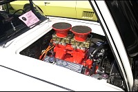 DSC_4772.jpg