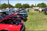 DSC_4776.jpg