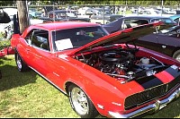 DSC_4777.jpg