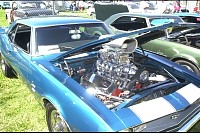 DSC_4781.jpg