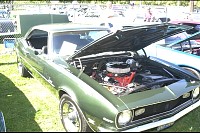 DSC_4784.jpg