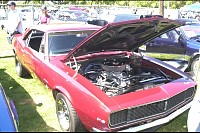 DSC_4786.jpg