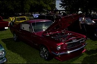 DSC_4794.jpg